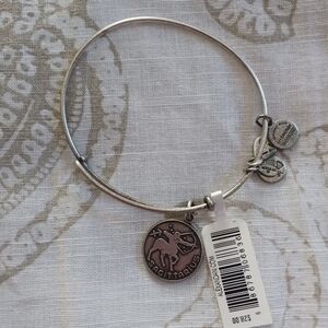 Alex and Ani Sagittarius bangle bracelet